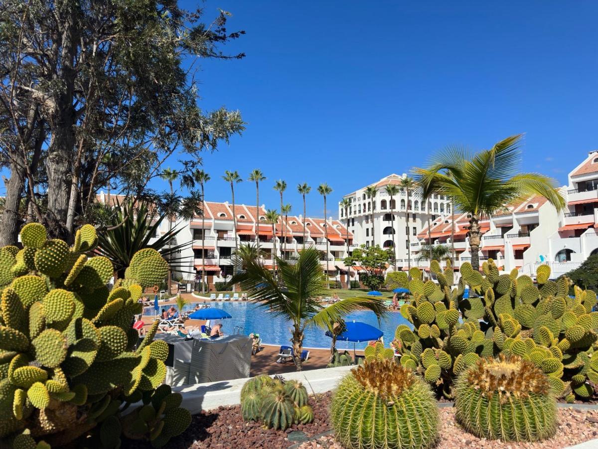 דירות פלאייה דה לאס אמריקס Parque Santiago II , Renovated, Ocean View, Heated Swimming Pool ! מראה חיצוני תמונה